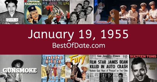January 19, 1955