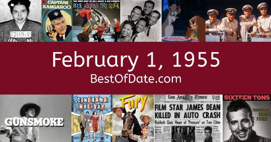 February 1, 1955