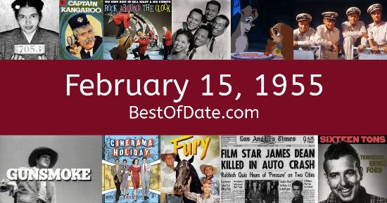 February 15, 1955