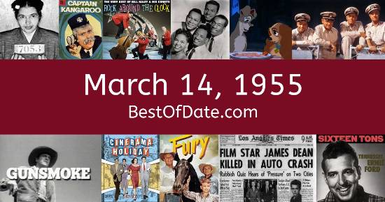 March 14, 1955