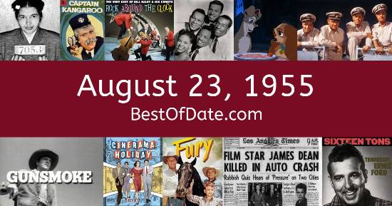 August 23, 1955