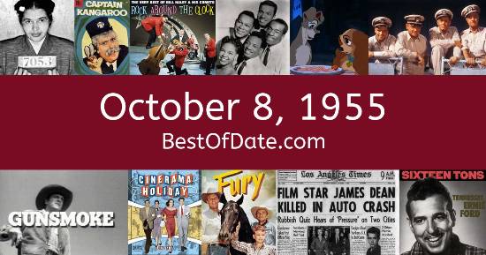 October 8, 1955