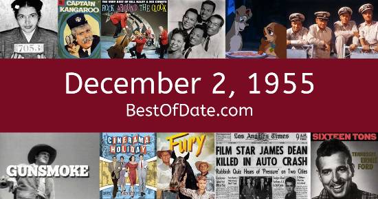 December 2, 1955