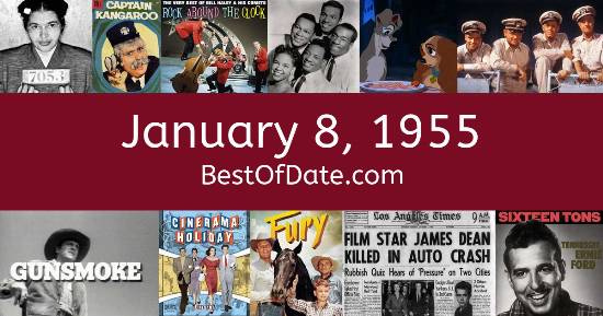 January 8, 1955