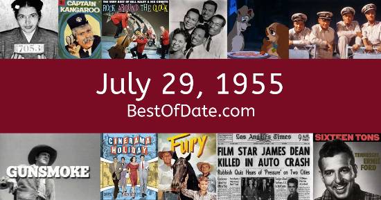 July 29, 1955