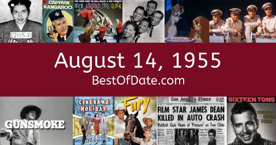 August 14, 1955