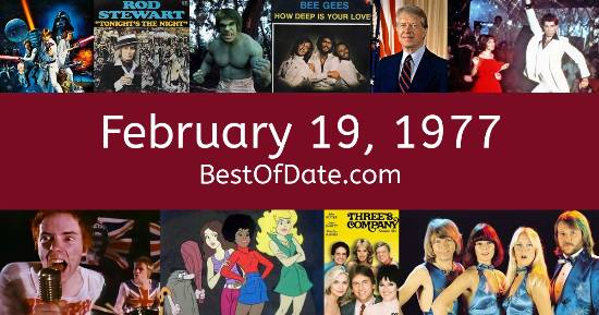 February 19, 1977