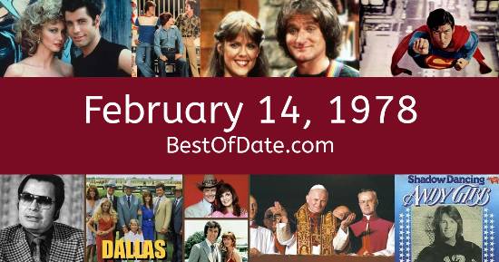 February 14, 1978