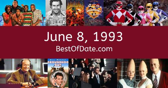June 8, 1993