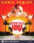 Beverly Hills Ninja