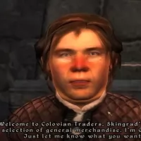 The Elder Scrolls IV: Oblivion 2006