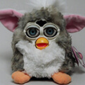 Furby Craze.