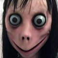 The Momo Challenge hoax.