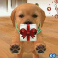 Nintendogs.