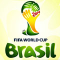 2014 FIFA World Cup.