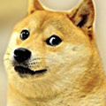 Doge.