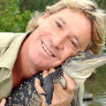 Steve Irwin dies.