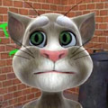 Talking Tom Cat.