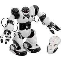 RoboSapien (toy robot)