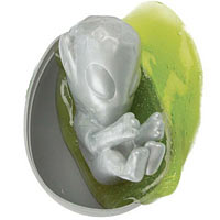 Cosmolight Alien Eggs