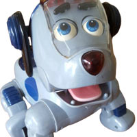 Rocket the Wonder Dog