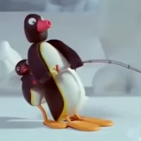 Pingu