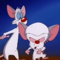 Pinky and the Brain