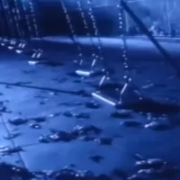 Are You Afraid of the Dark?