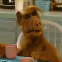 ALF