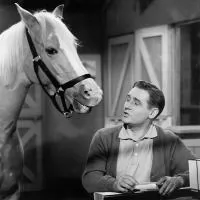 Mister Ed
