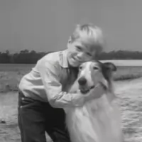 Lassie