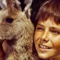 Skippy the Bush Kangaroo