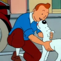 The Adventures of Tintin