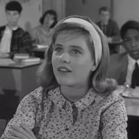 The Patty Duke Show