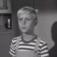 Dennis the Menace