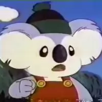 Adventures of the Little Koala