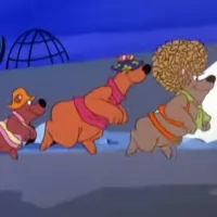 Help!... It's the Hair Bear Bunch!